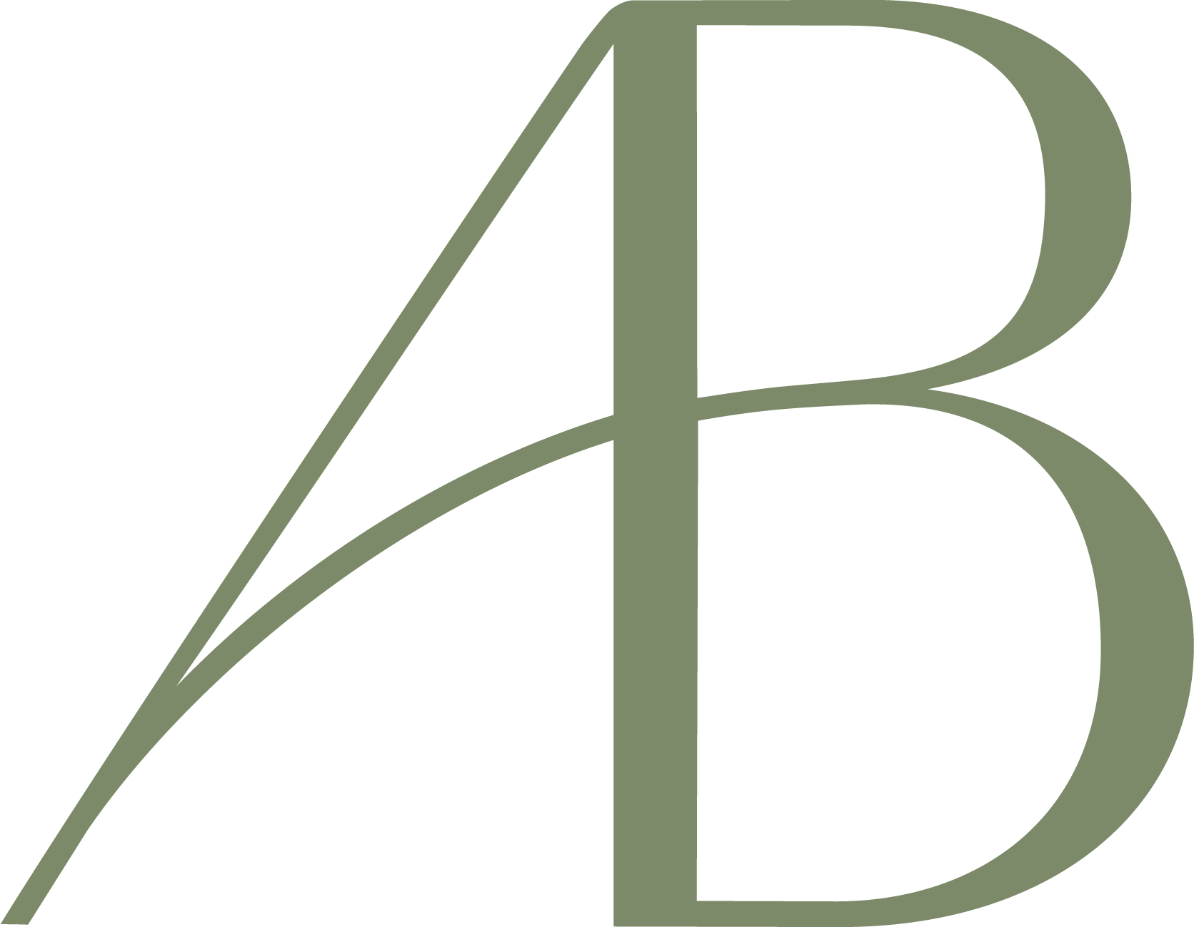 RT-Bergmann-Beratung